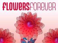 Opening Flowers Forever