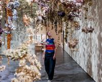 Gather all Flowers!