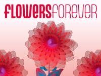 Special Flowers Tour (in dutch)